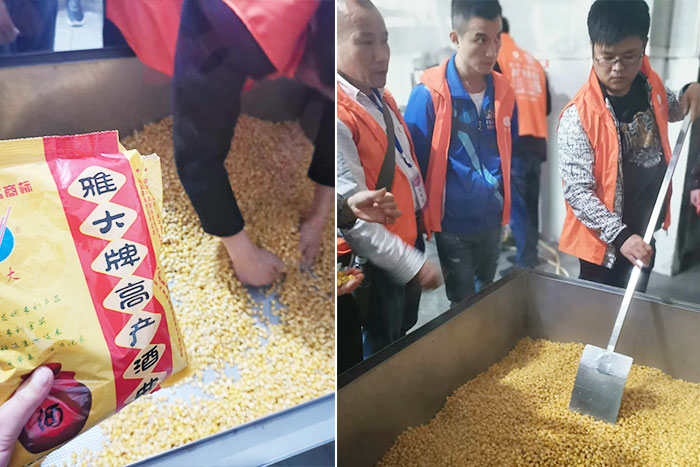 7-雅大迎來“五一”釀酒實操教學(xué)小高峰，這4種酒您釀過嗎？-玉米釀酒