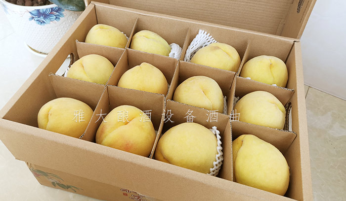 8.24-印江縣黃桃滯銷，冉總引進(jìn)雅大電加熱釀酒設(shè)備靠“釀”帶動銷量-11