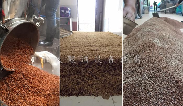 11.24-王姐用小型蒸酒設(shè)備開酒坊，酒釀做饅頭，愛情事業(yè)雙豐收高粱釀酒