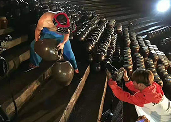 大型釀酒設(shè)備做洞藏酒，酒糟種食用菇，兩條腿走路