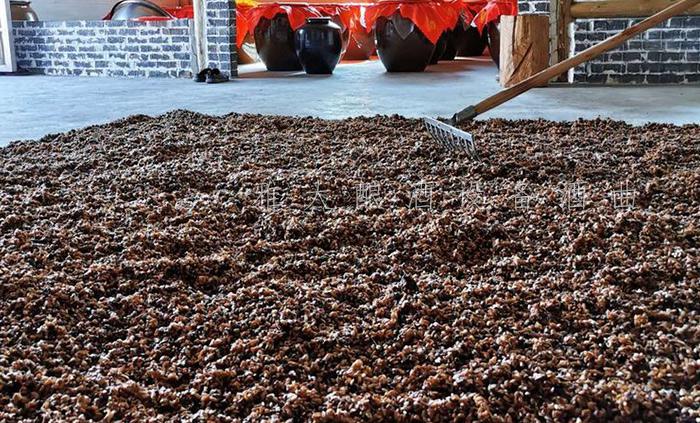 走進小型釀酒設備200型酒廠，應天時，釀春酒！ 3