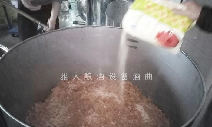 它酷似櫻桃，90后用果酒釀酒設(shè)備將它釀酒，見過的不多 5