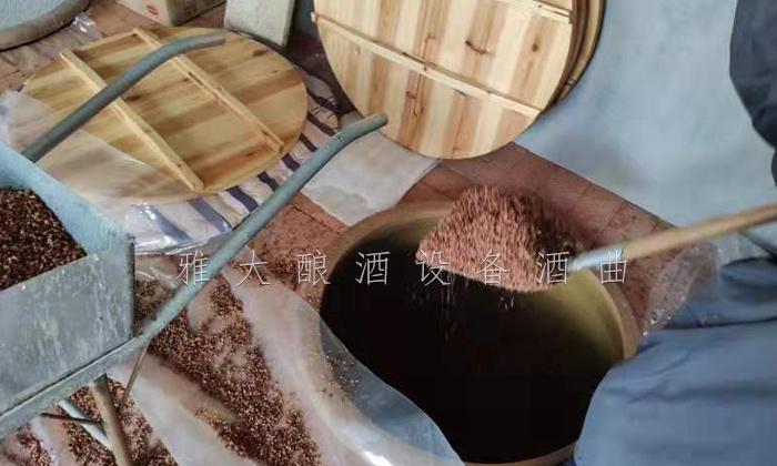 匠心釀好酒 ，帶您走進(jìn)這間古法純糧釀酒設(shè)備小酒坊 1