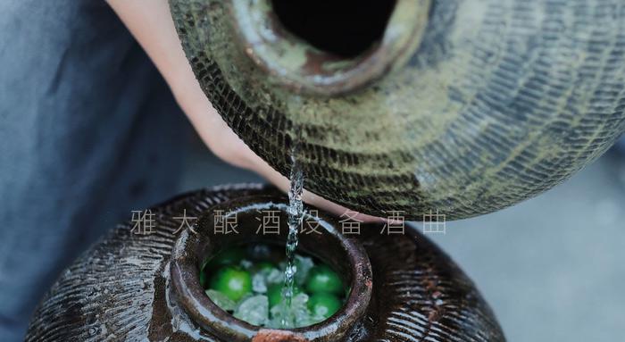 弄1套小型釀酒設(shè)備200型，回家用青梅煮酒（附青梅釀酒技術(shù)） 2