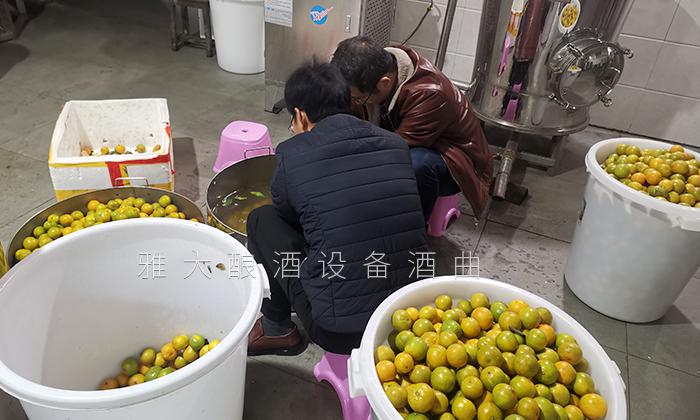 2020年做什么賺錢(qián)快？這些人都用果酒釀酒設(shè)備開(kāi)了特色酒坊 8
