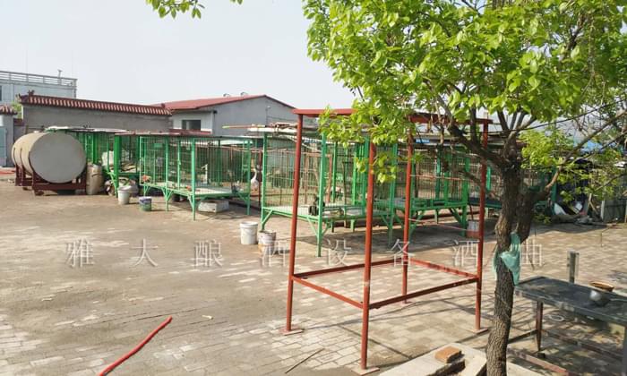 上年紀(jì)后藏獒圈的朋友愛上白酒，拋棄啤酒，為什么？1