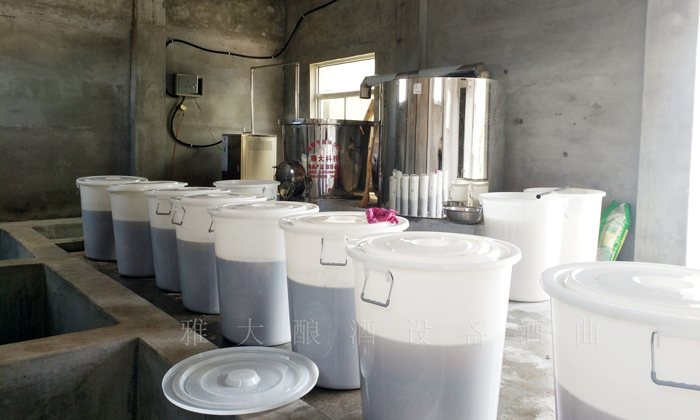 上年紀(jì)后藏獒圈的朋友愛上白酒，拋棄啤酒，為什么？5