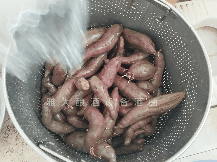 想做紫薯酒，口感好嗎？紫薯釀酒設(shè)備技術(shù) 2