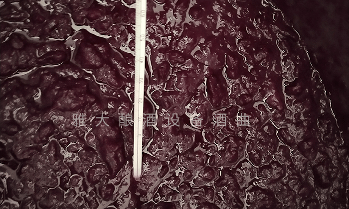 想做紫薯酒，口感好嗎？紫薯釀酒設(shè)備技術(shù) 4