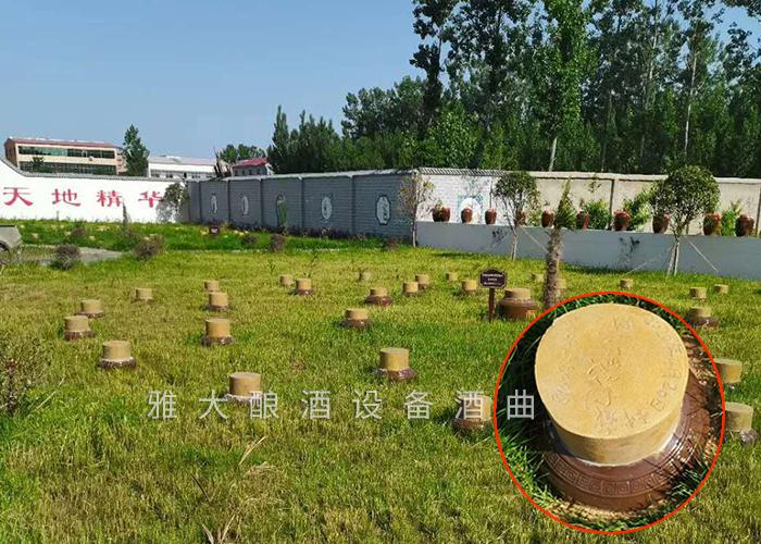 開啟“種酒”全新白酒營銷模式，打造小型酒廠釀酒設(shè)備特色純糧窖藏酒坊！ 7