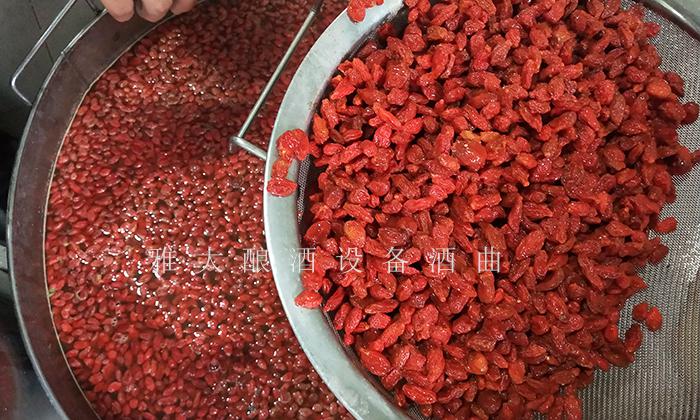 枸杞泡酒你見過，那枸杞發(fā)酵酒你見過嗎？ 5