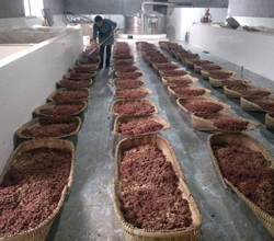 引進(jìn)大型釀酒設(shè)備，用“釀”奏響脫貧致富的時(shí)代樂(lè)章