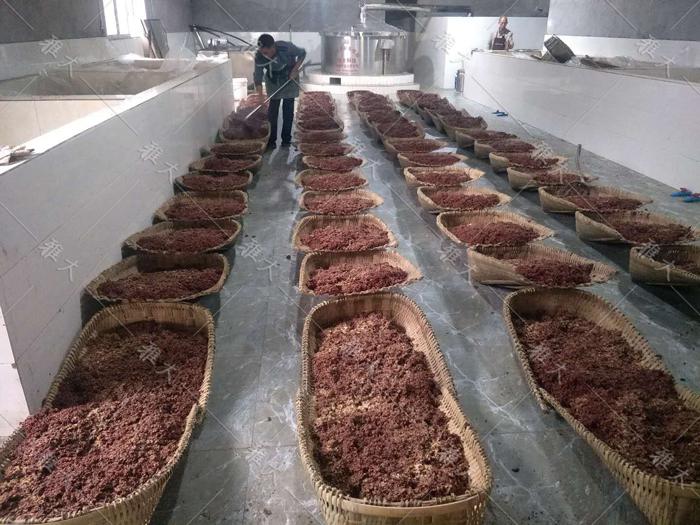 自從有了這套白酒釀酒設(shè)備，“懶人”也愿意用古法釀酒了 1