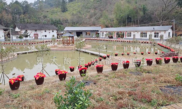 用白酒蒸餾設備做李子酒的標準教程被公布，趕緊去看看吧！ 2