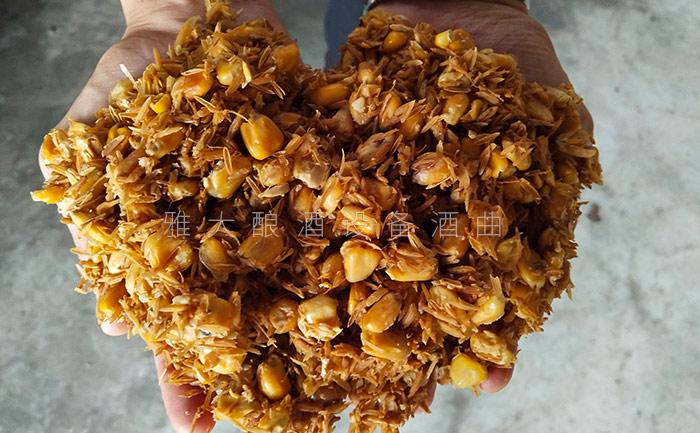 8.28玉米發(fā)酵完成后，玉米粒中無淀粉