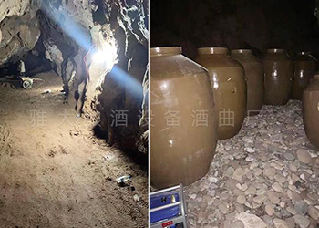 水田村引進(jìn)中型釀酒設(shè)備釀酒養(yǎng)豬，強(qiáng)村富民促振興