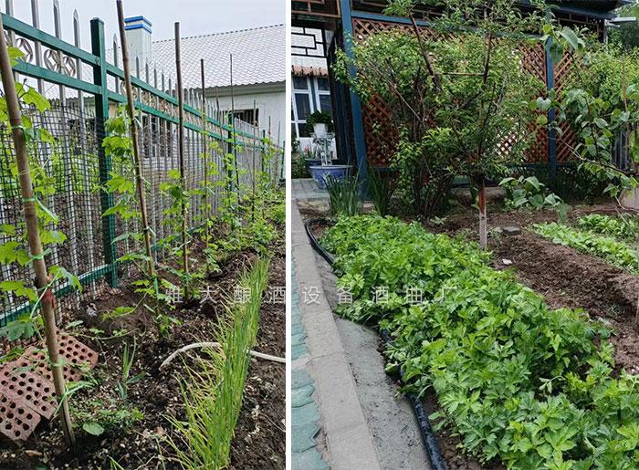 工程師變身“農(nóng)莊主”，又引進(jìn)白酒烤酒設(shè)備，為農(nóng)莊增添新特色7