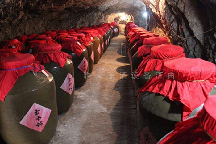 做強(qiáng)本土特色果酒產(chǎn)業(yè)，開辟果酒“新”賽道10