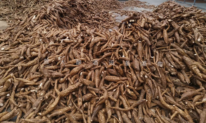 從田間到杯中，用蒸汽釀酒設備釀造美味葛根酒！ 3