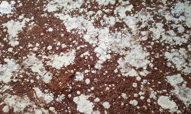 酒酸了別怪天氣！90%的春季酸敗，都是這5個衛(wèi)生漏洞惹的禍 2