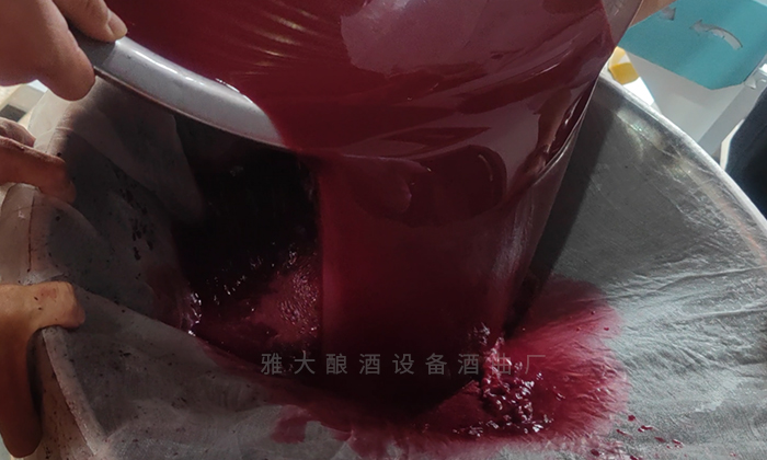 桑葚“次果”變黃金！低成本釀熱銷果酒，增收秘訣看這里！ 7