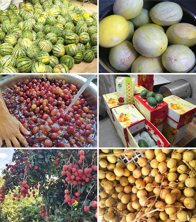 夏季水果大豐收！便宜水果釀成酒，好喝又好賣，趕緊抓住商機(jī)！ 1