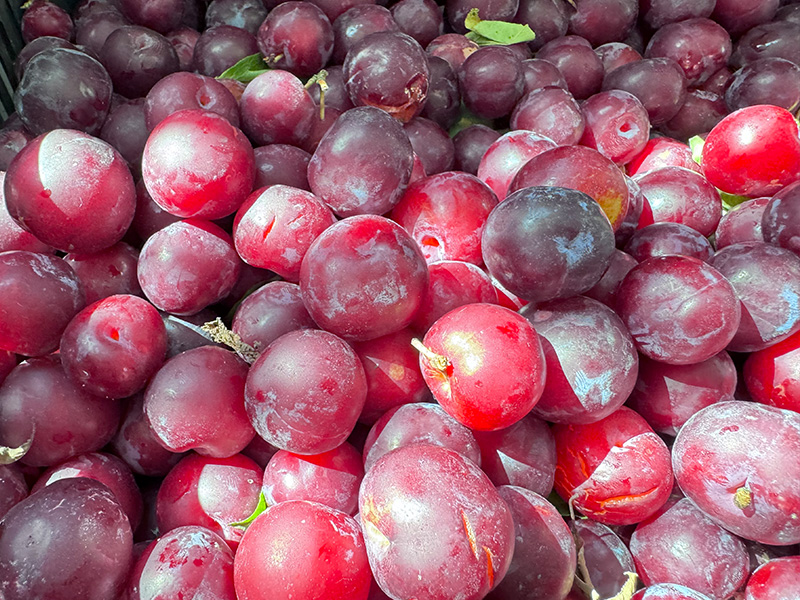 夏季水果大豐收！便宜水果釀成酒，好喝又好賣，趕緊抓住商機(jī)！ 6
