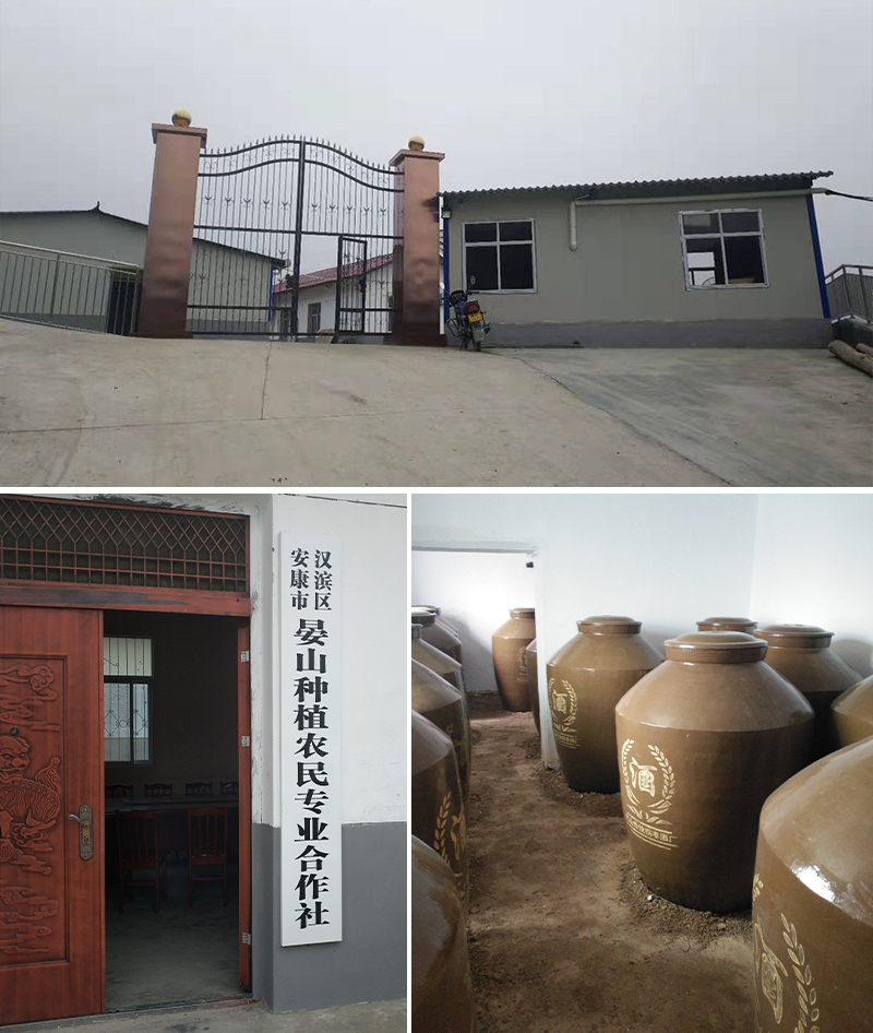 拐棗釀酒設(shè)備 3