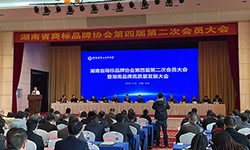 特大喜訊：雅大榮獲湖南省知名品牌獎